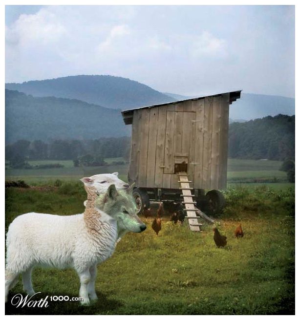 wolf-guarding-henhouse