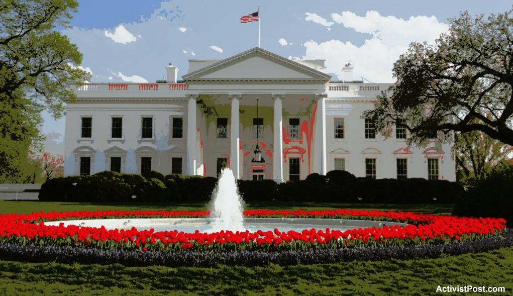 white-house